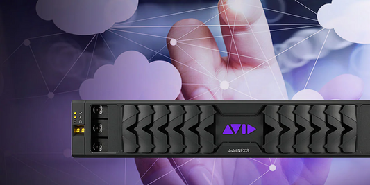 Avid NEXIS | Cloudspaces 400 TB Annual Plan. (400TB storage / 8TB download)-New