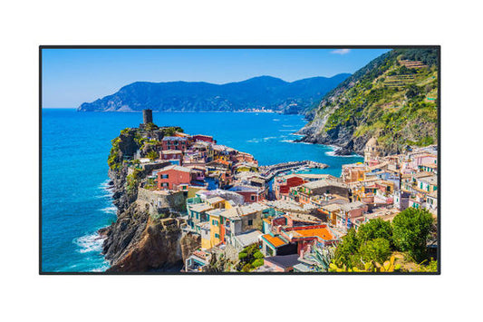 Panasonic TH-86EQ2W 86" class 4K UHD LED Professional Display